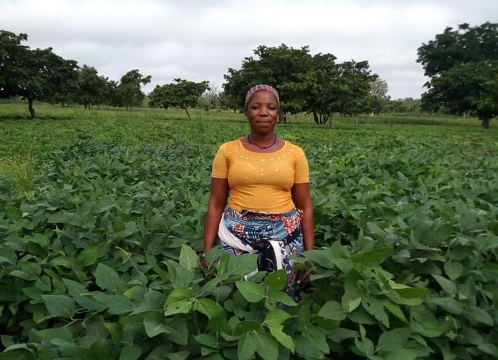 une femme dans un champ de soja