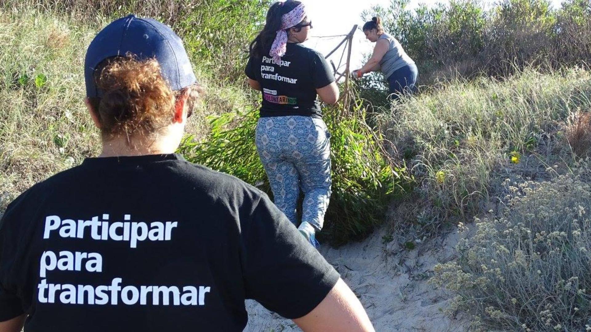 Tres jóvenes mujeres caminando por bosque samófilo