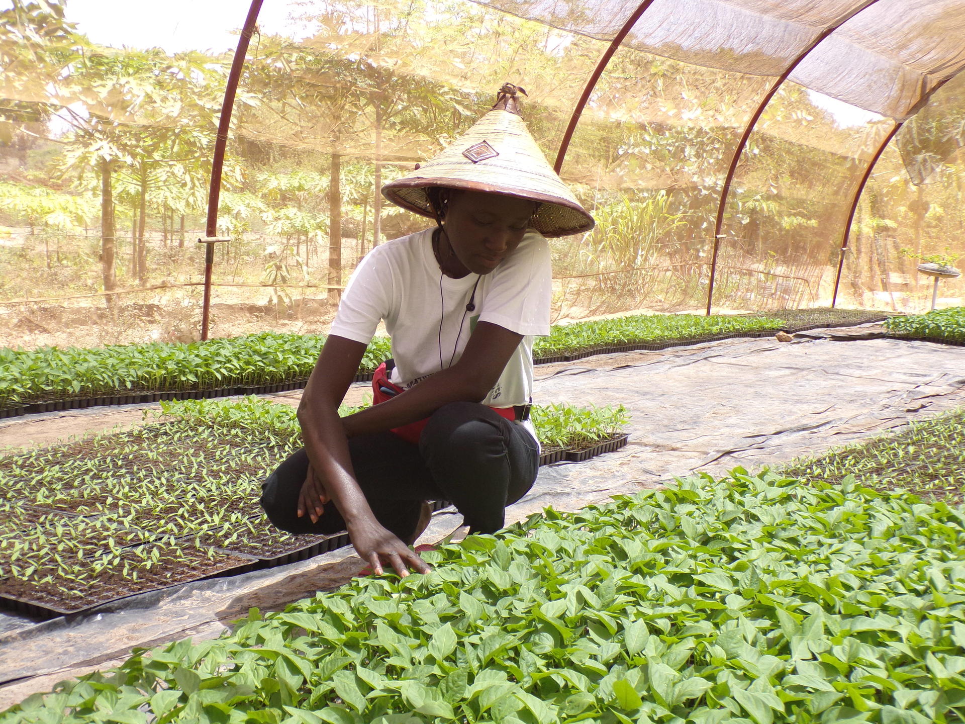 Une jeune fille assise en face de ses plantations avec une casquette à la tête