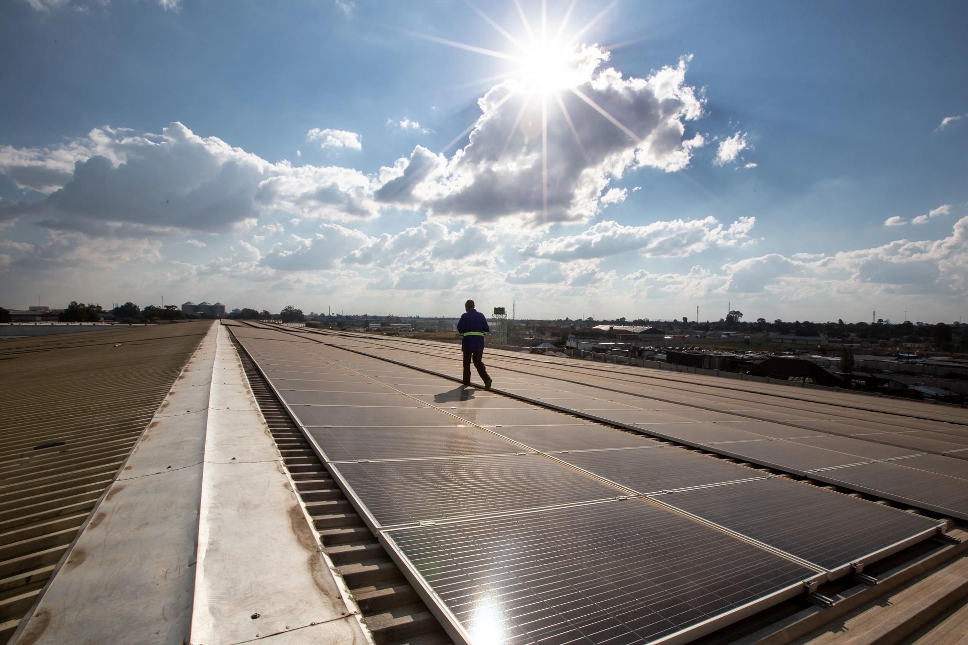 man walks on solar panel