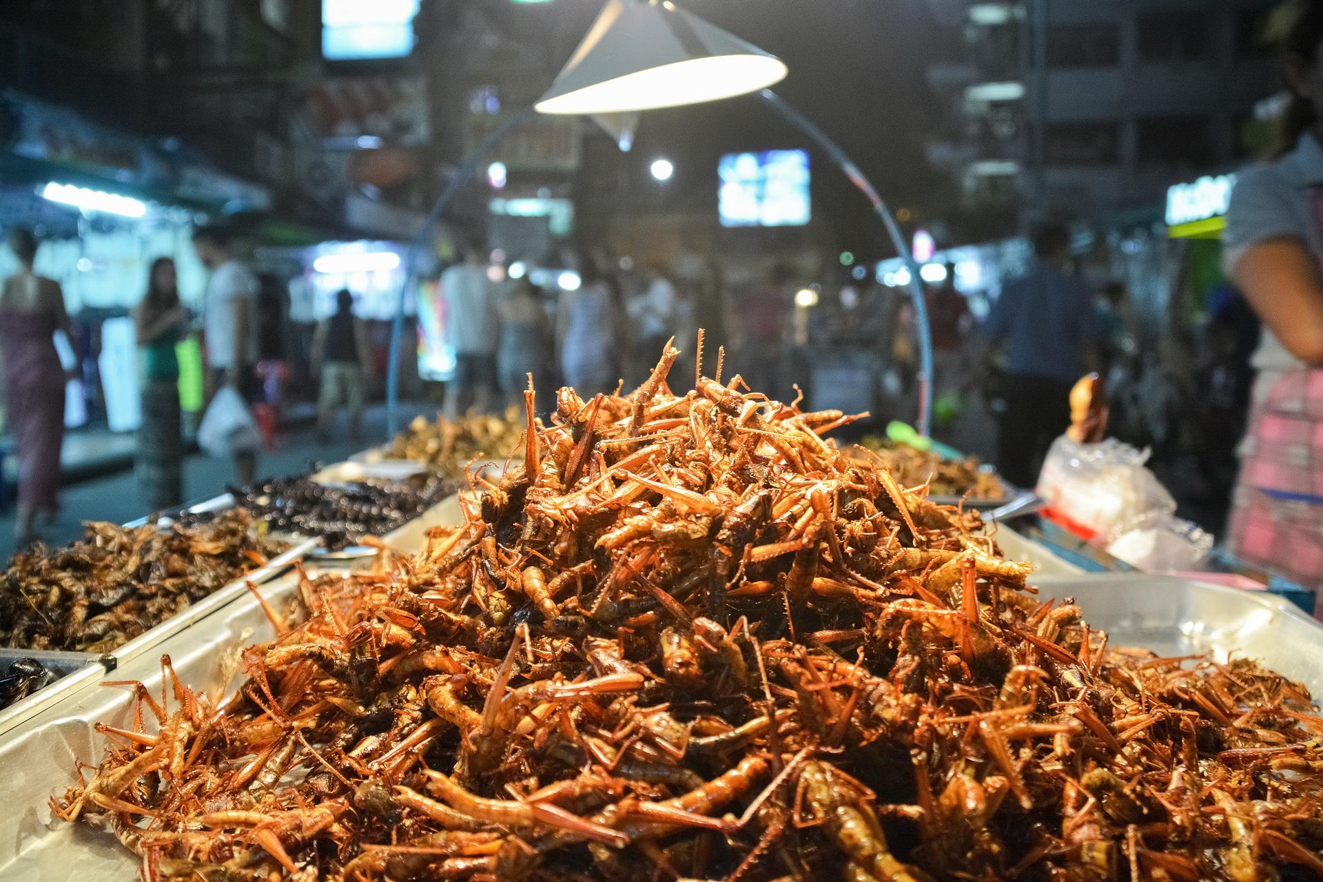 Pile of edible bugs.
