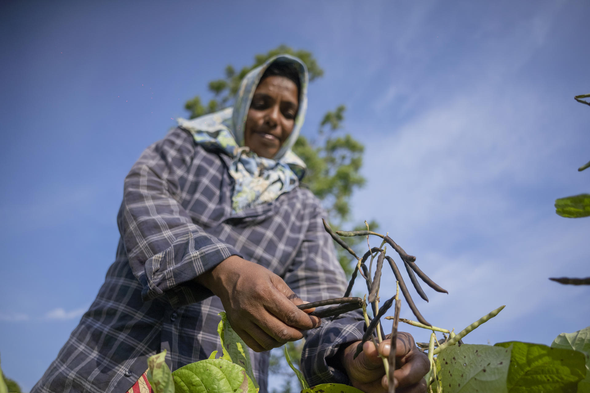 Cascading impacts on drinking water, rural livelihoods and women, who face the brunt of the issue