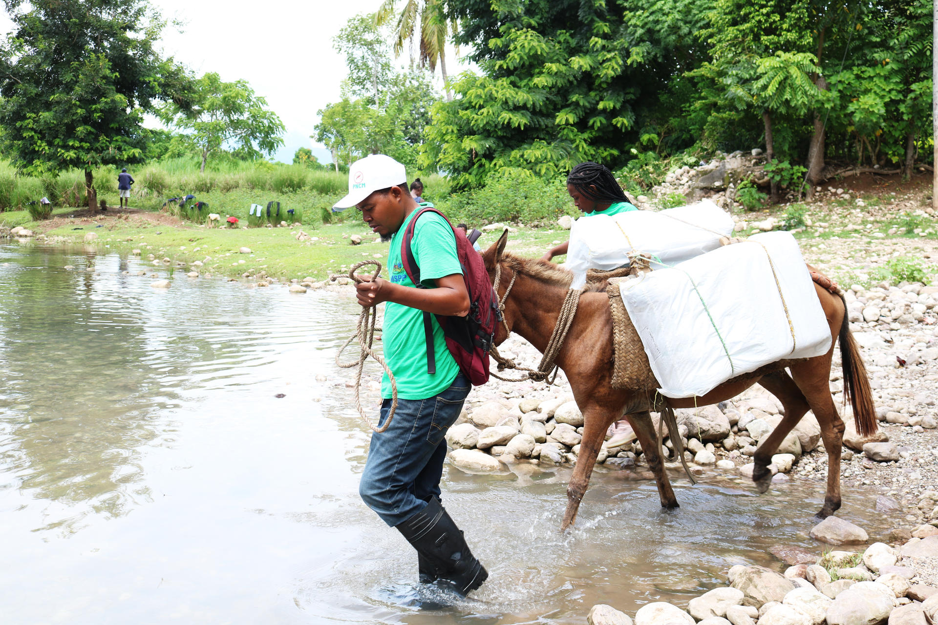 Man outdoors with horse or donkey