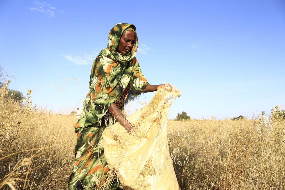 a person standing on a dry grass field