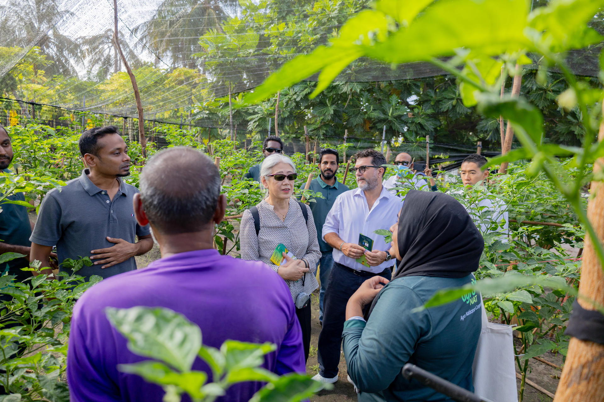 UNDP, Japan and AgroNAT teams visiting farms