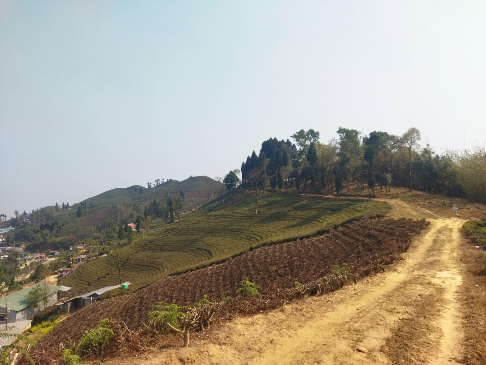 a picture of a mountain track on a hilltop 