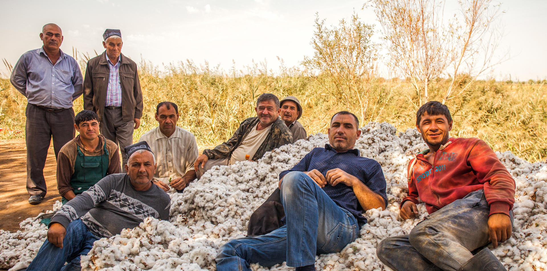 Men relax on a pile of picked cotton