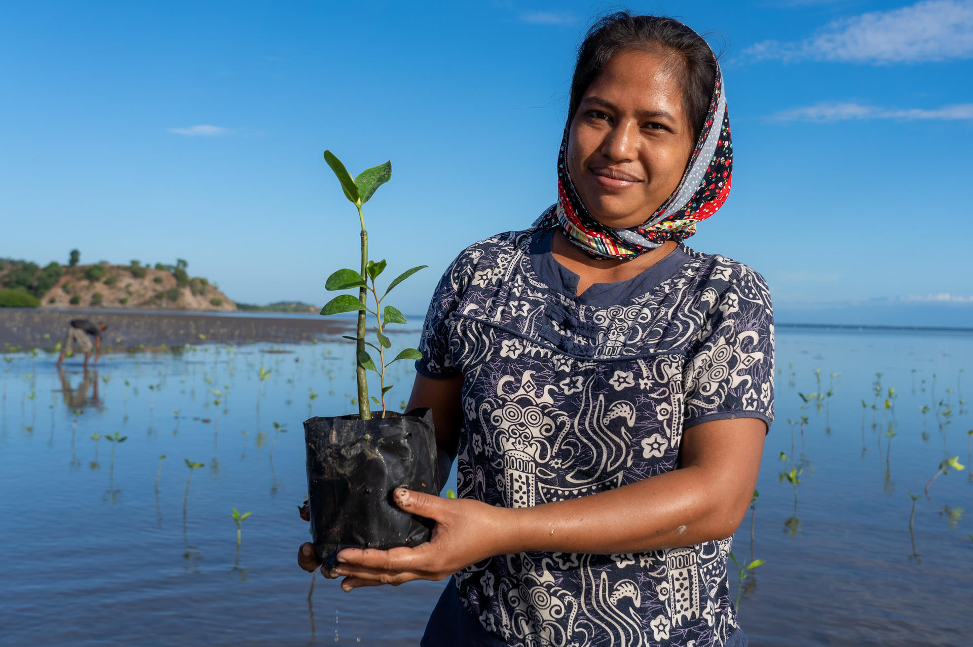 Woman holds mangrove plant