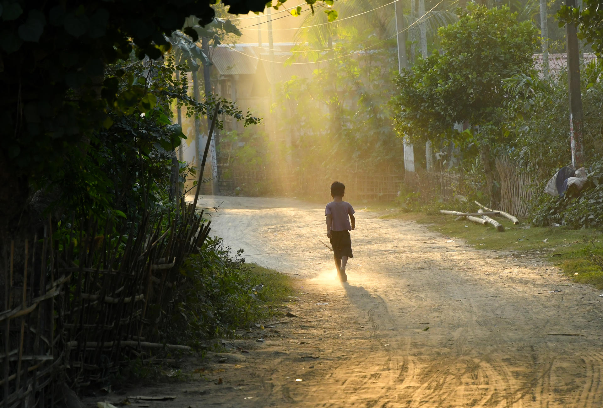Child walking along a path with sun shining through trees