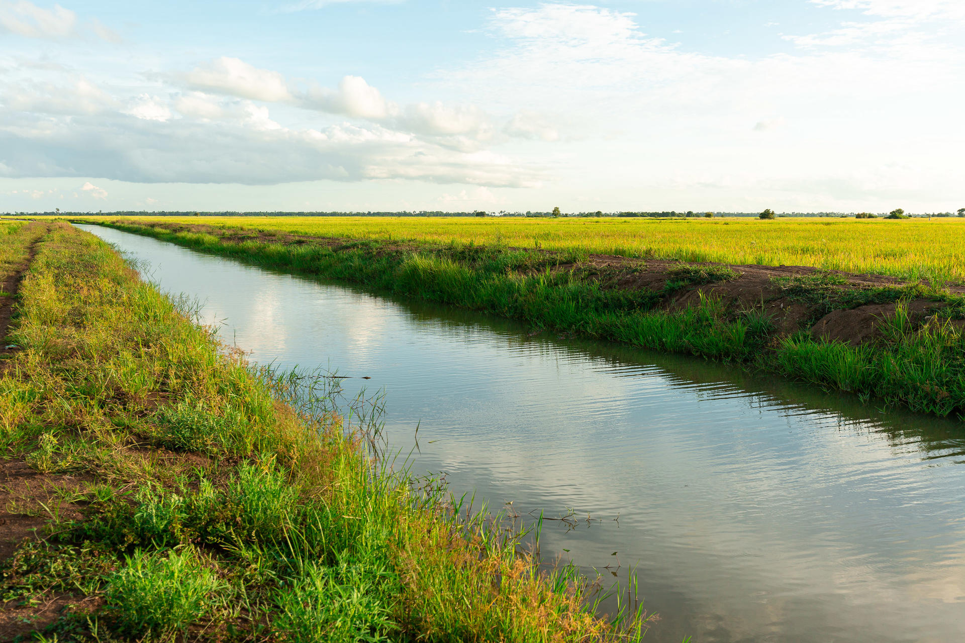 a pond with grass and a body of water