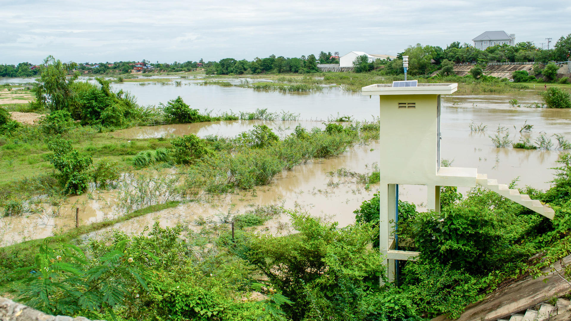 a garden with water in the background