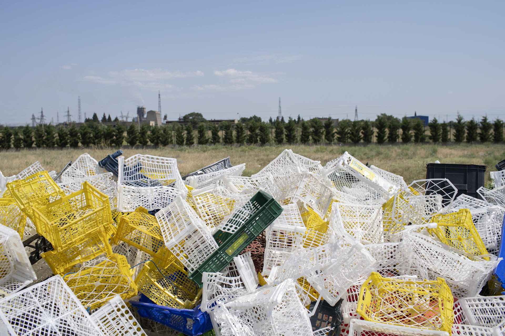 Plastic Pollution in Georgia