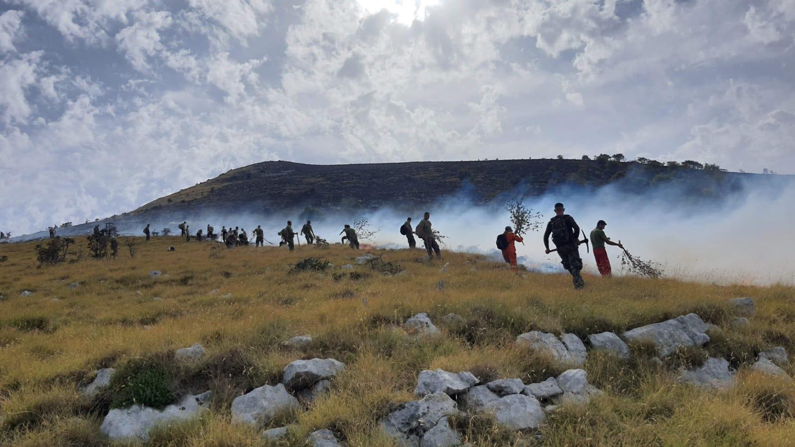 Municipalities Take Actions Against Climate Change