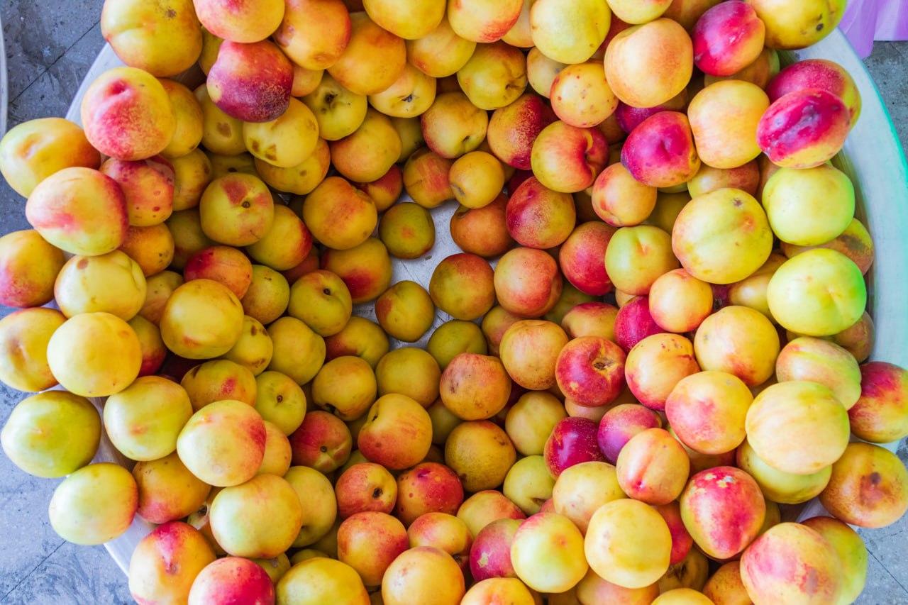 a pile of fruit