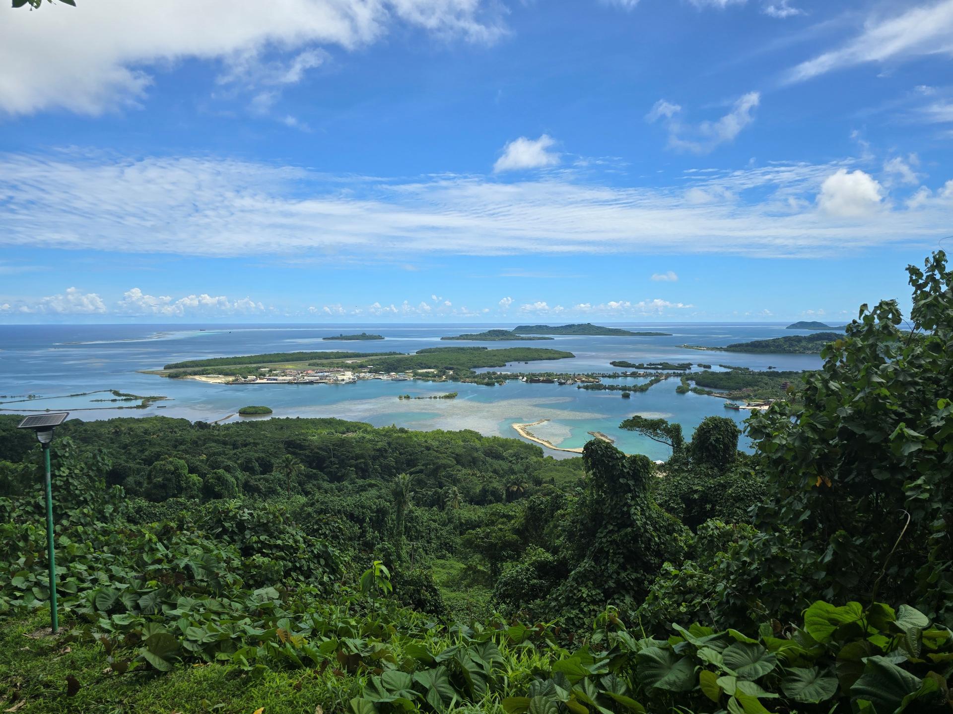 a close up of a hillside next to a body of water