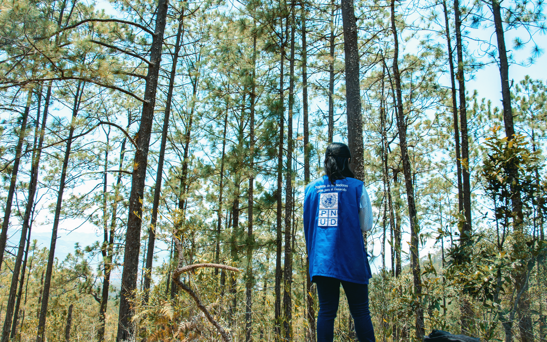 una persona de pie junto a un bosque