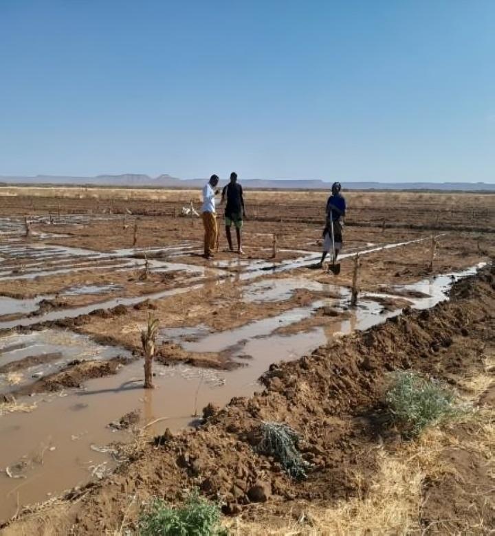 a group of people walking in a farm