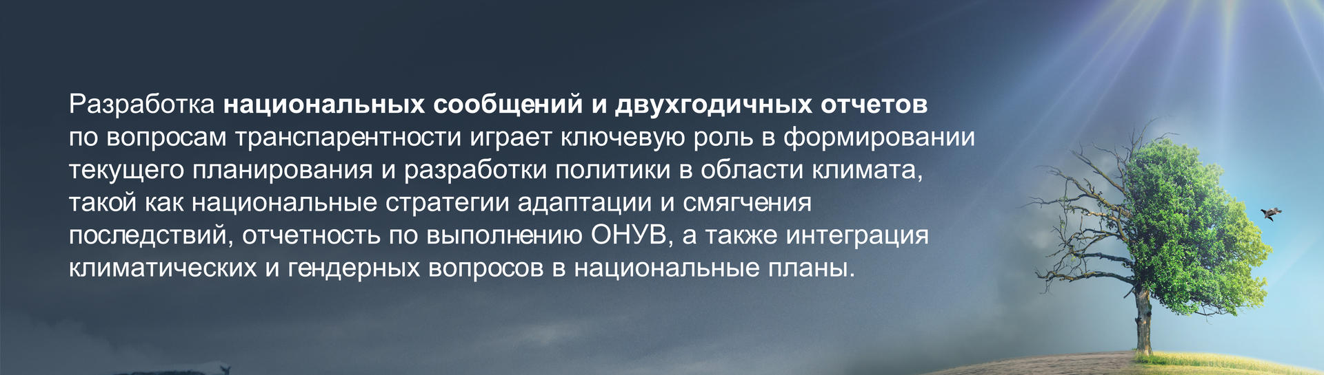 СМС