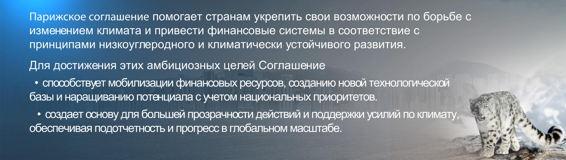 СМС