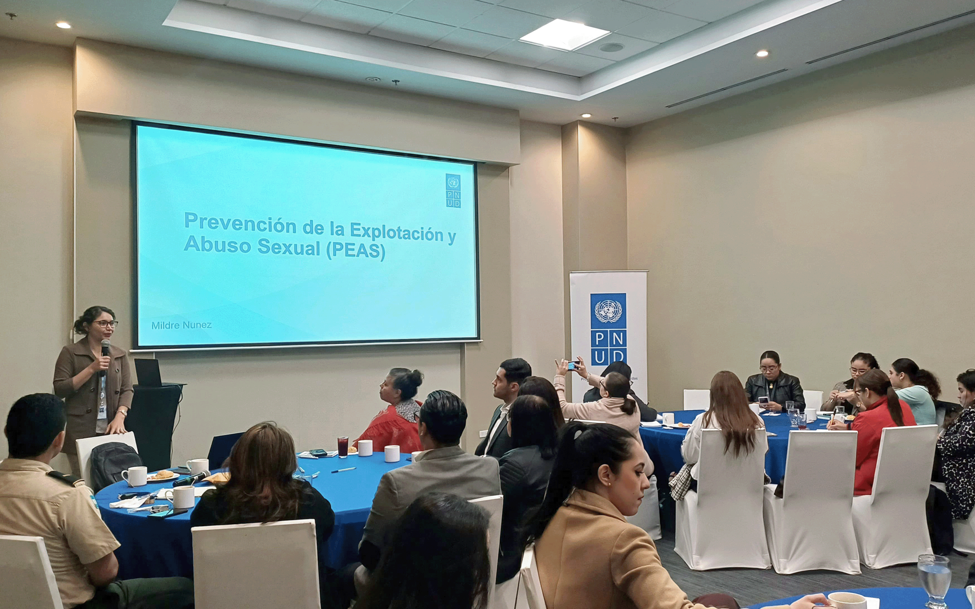 Fortalecimiento de capacidades sobre explotación, abuso y acoso sexual a socios implementadores y responsables