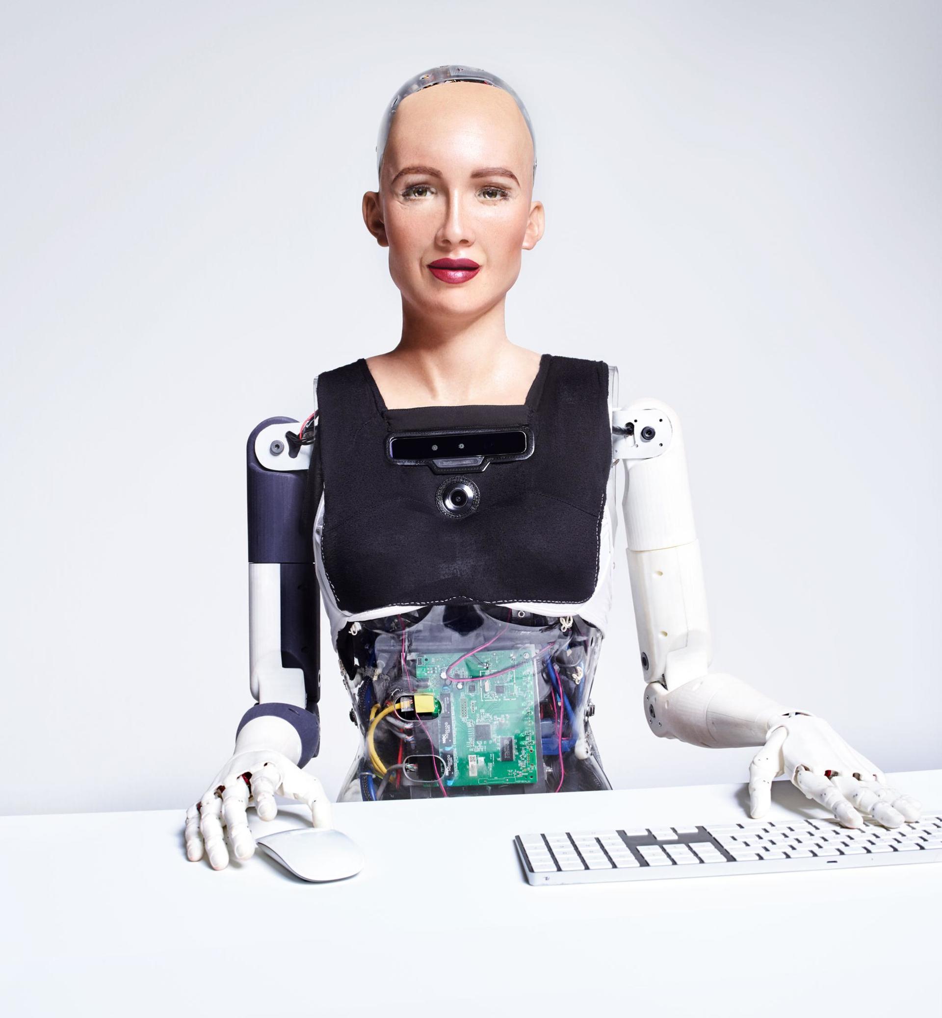 A humanoid Robot