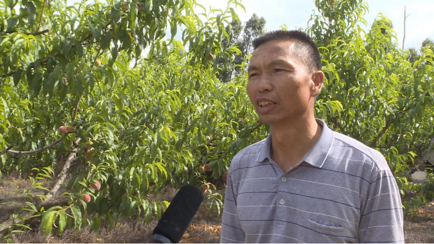 a man standing in front of a tree
