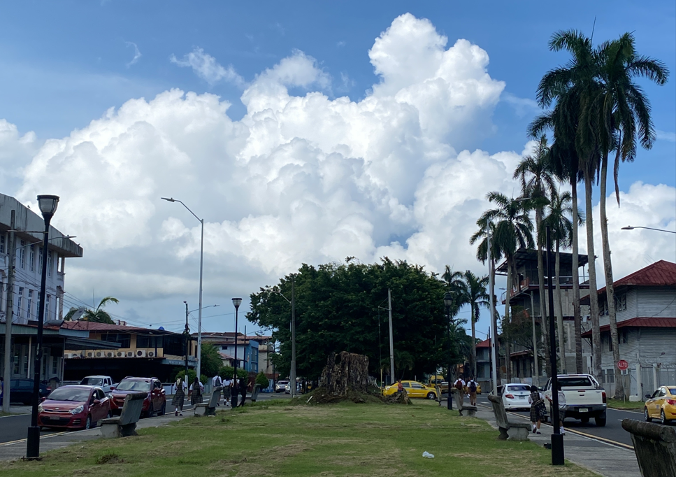 Imagen de una calle con edificios y palmeras