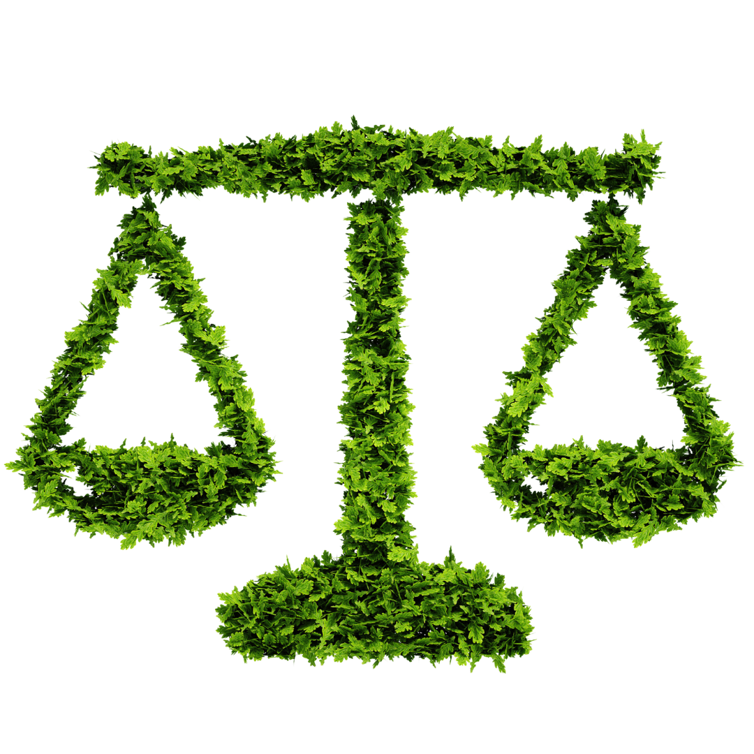 eco justice