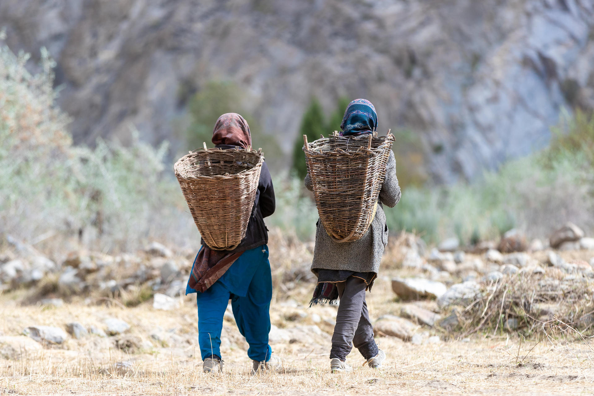 Two women walking away, each carrying a large woven basket on their backs.