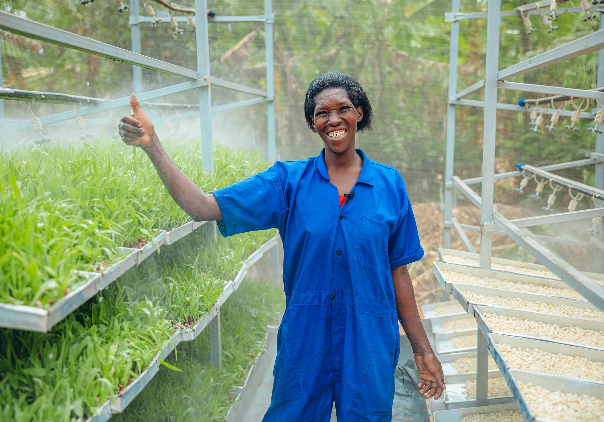 A smiling person in a blue jumpsuit giving a thumbs up inside a greenhouse.