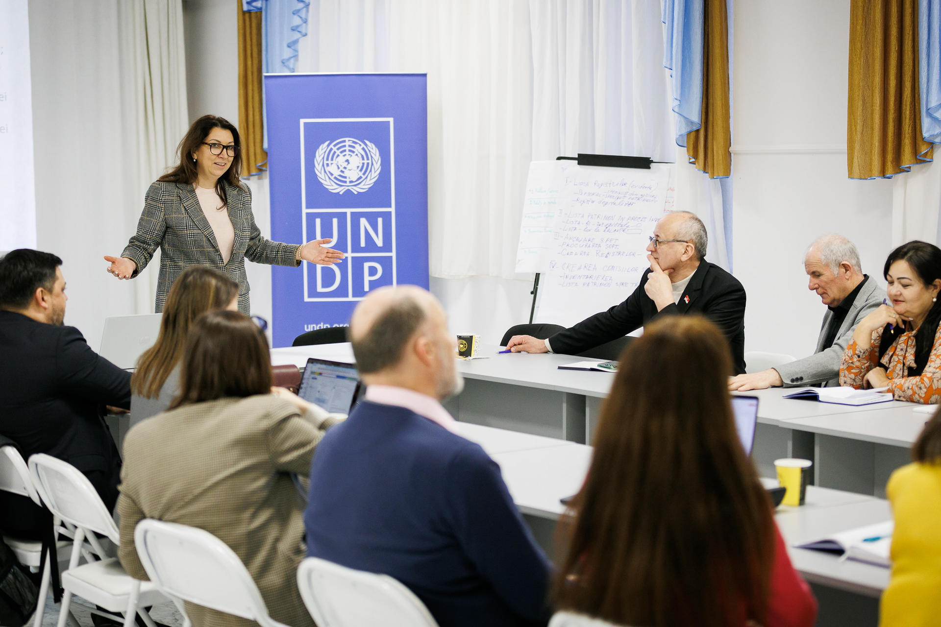 A woman gestures while presenting to a group seated at a conference table, with a UNDP banner in the background.