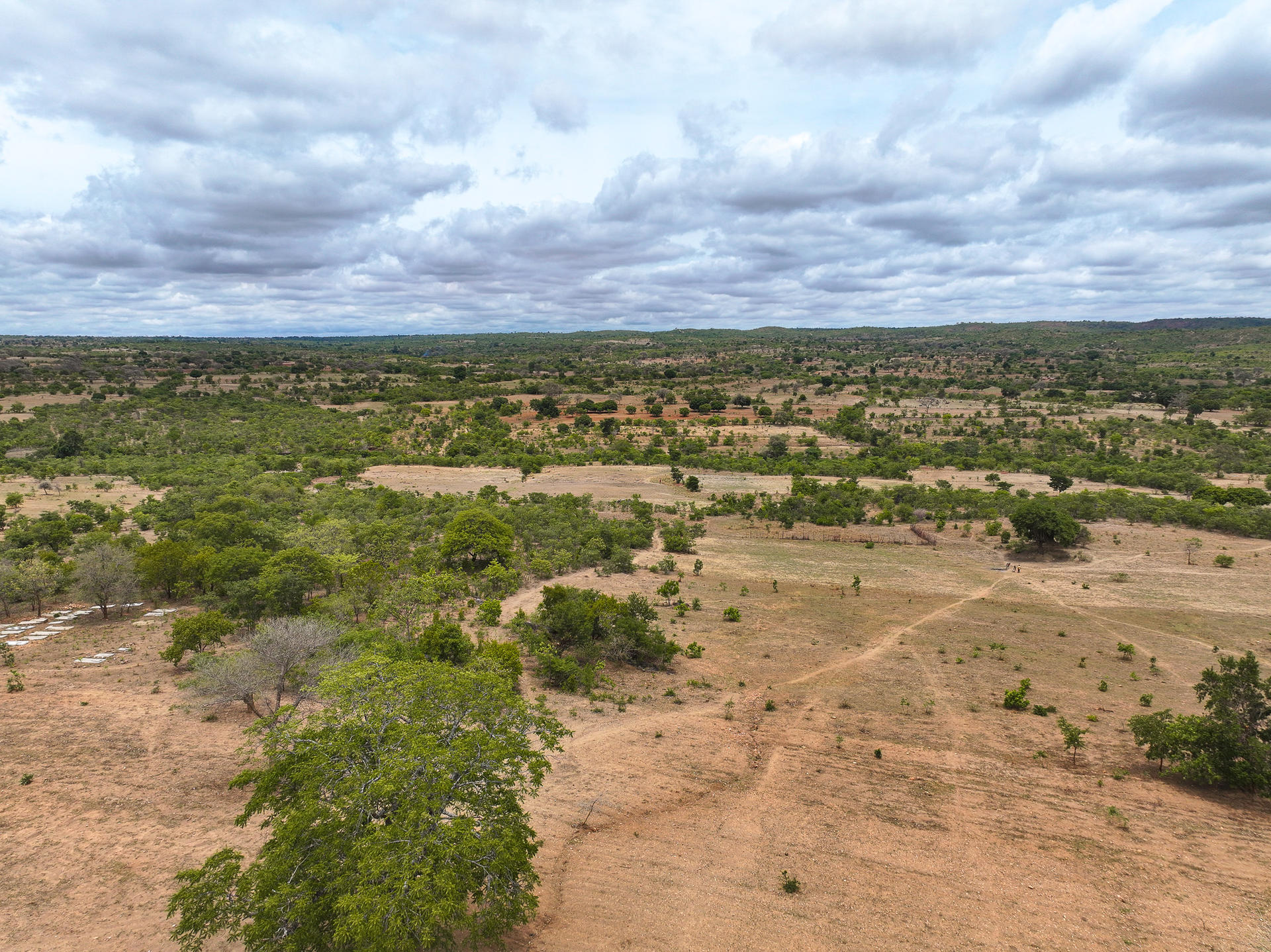 Vast landscape with sparse greenery and cloudy skies above.