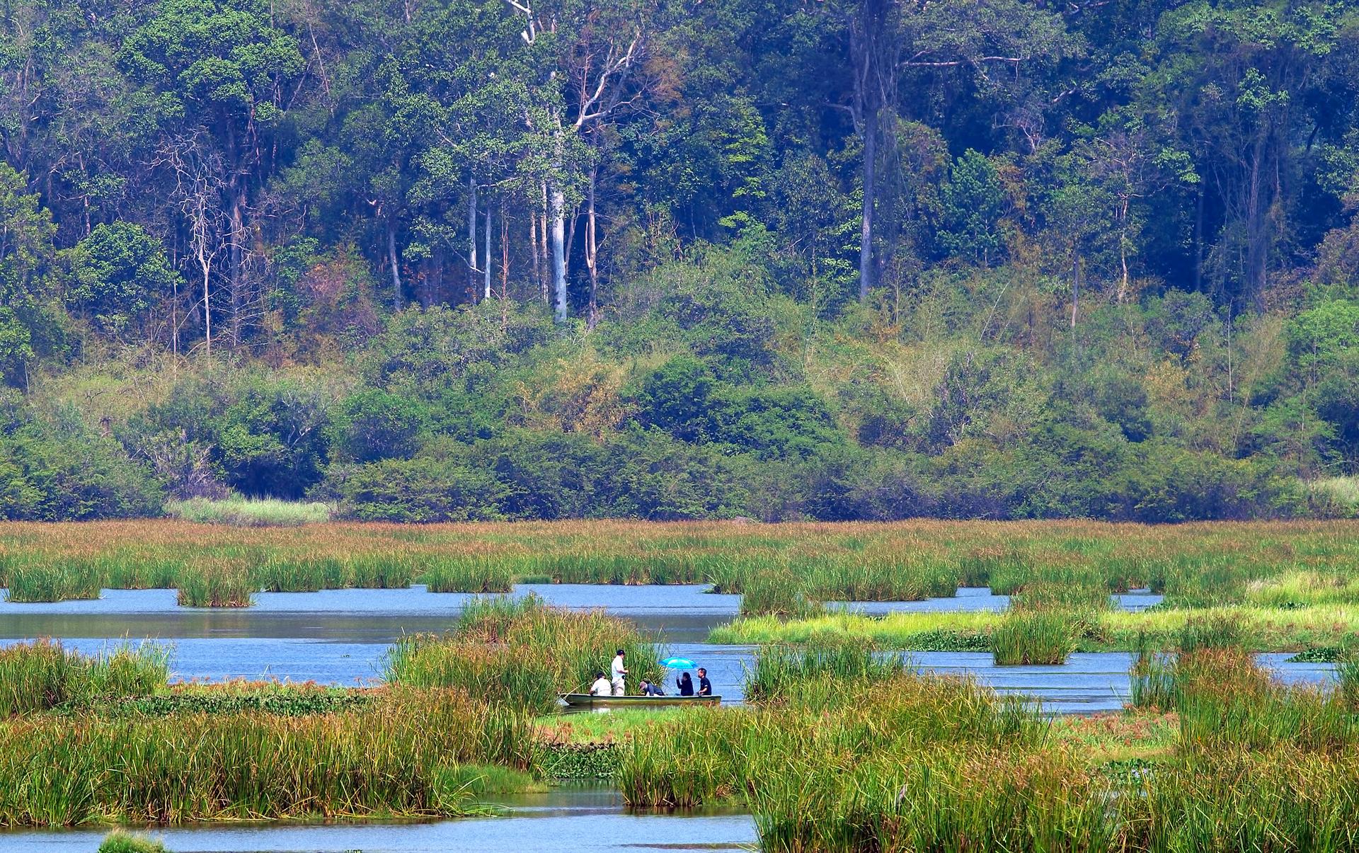 Lush wetlands with tall grasses and a group of people near water, surrounded by trees.