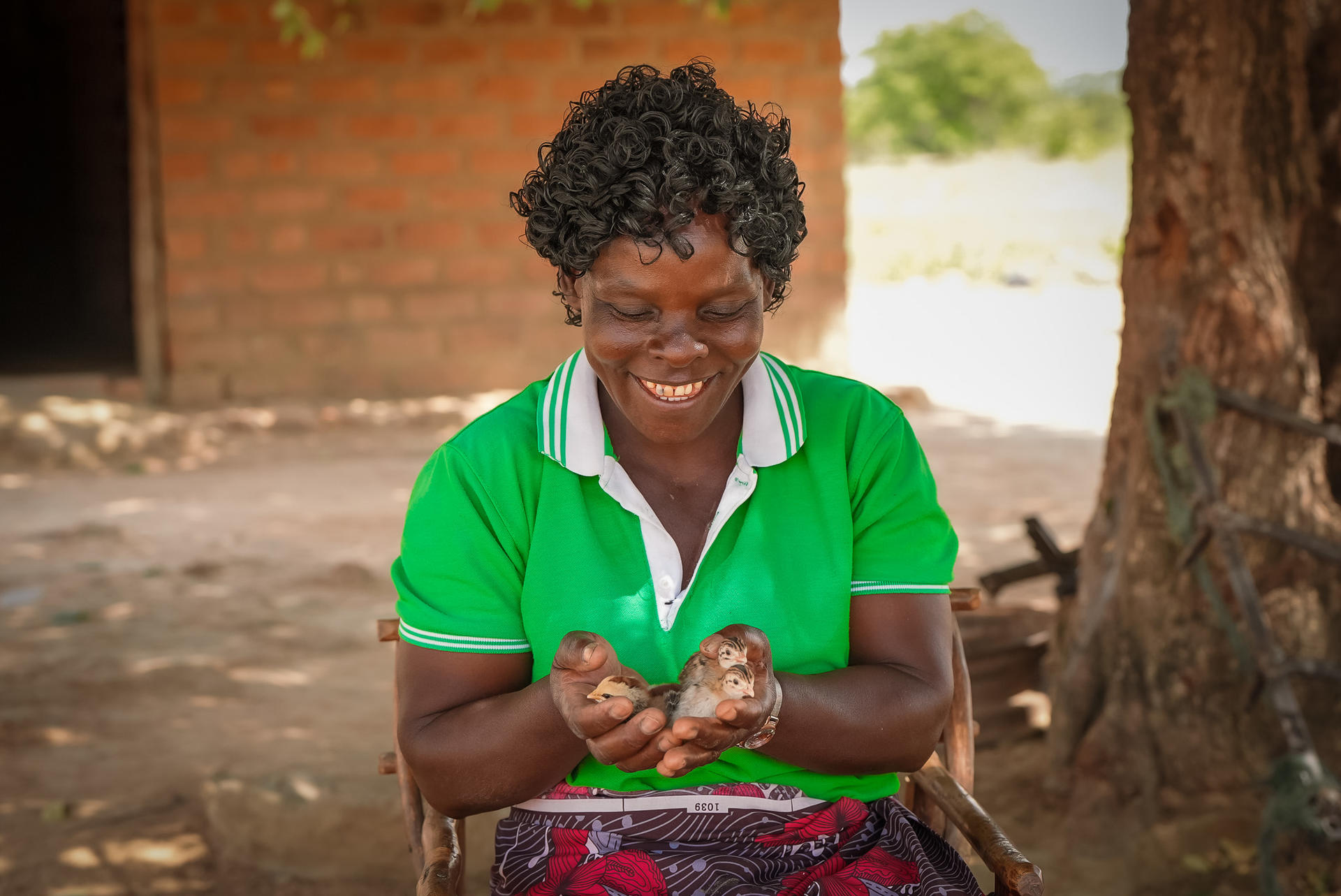 a woman in a green top holding chicks and baby guinea fowls in her hands