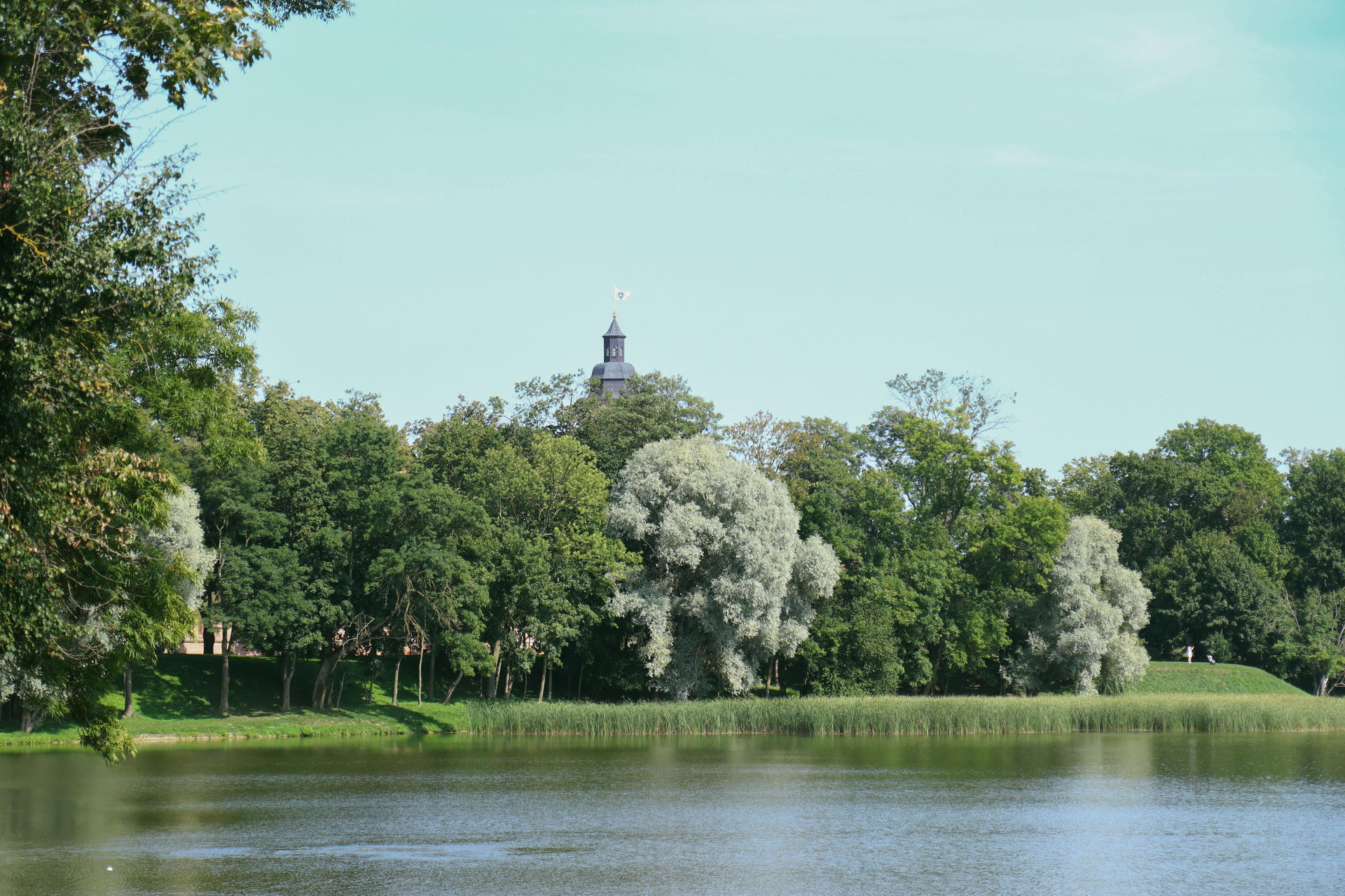 Lush green trees lining a calm lake with a distant tower under a clear blue sky.
