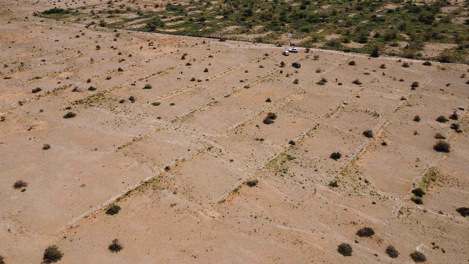 From Insights to Action: Amplifying Positive Deviance within Somali Rangelands