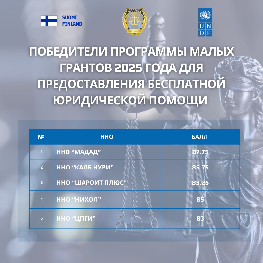 Table displaying winners of the 2025 small grants program for free legal assistance.