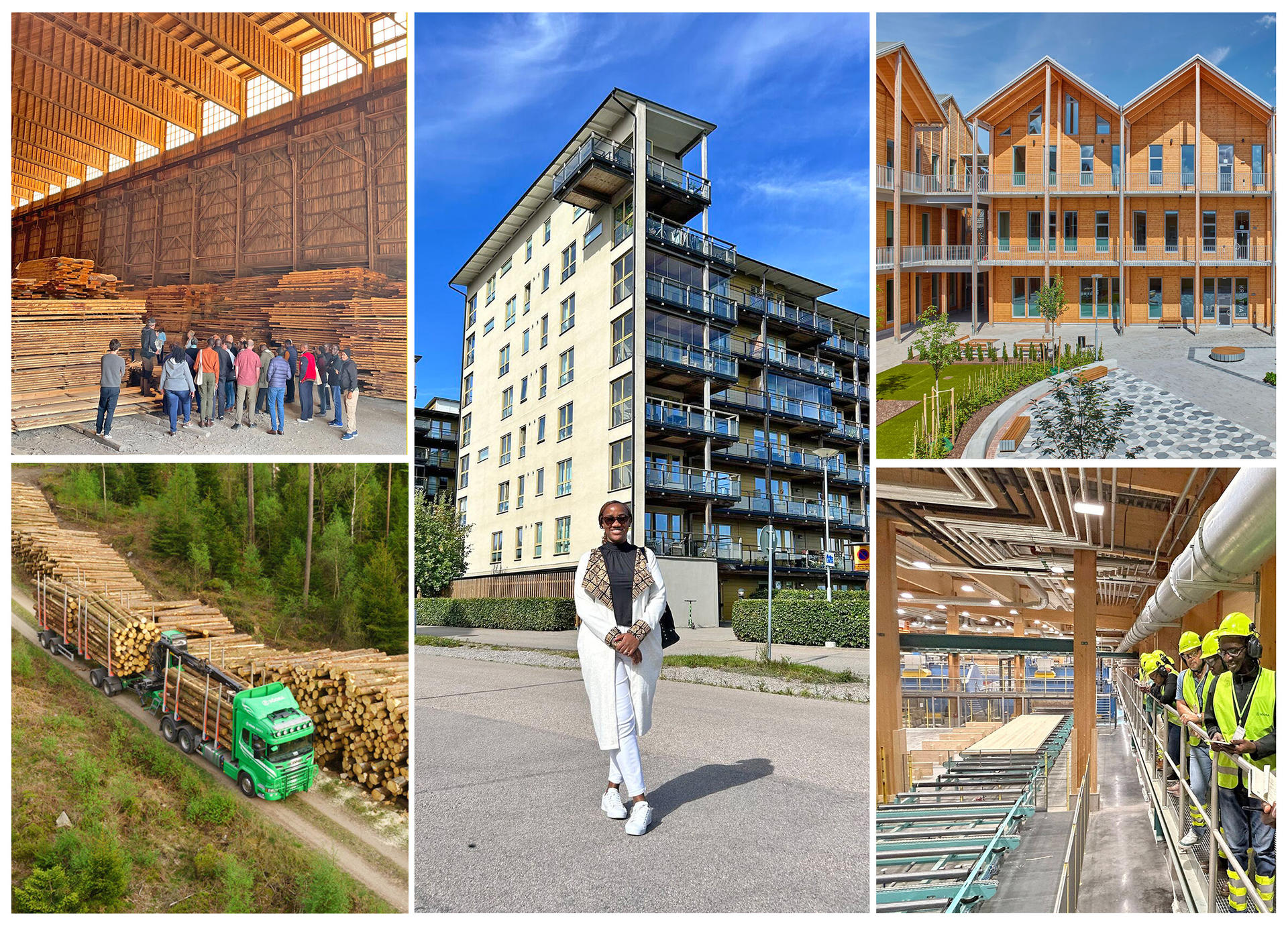 Collage showcasing lumber processing, a modern building, and a person in casual attire.
