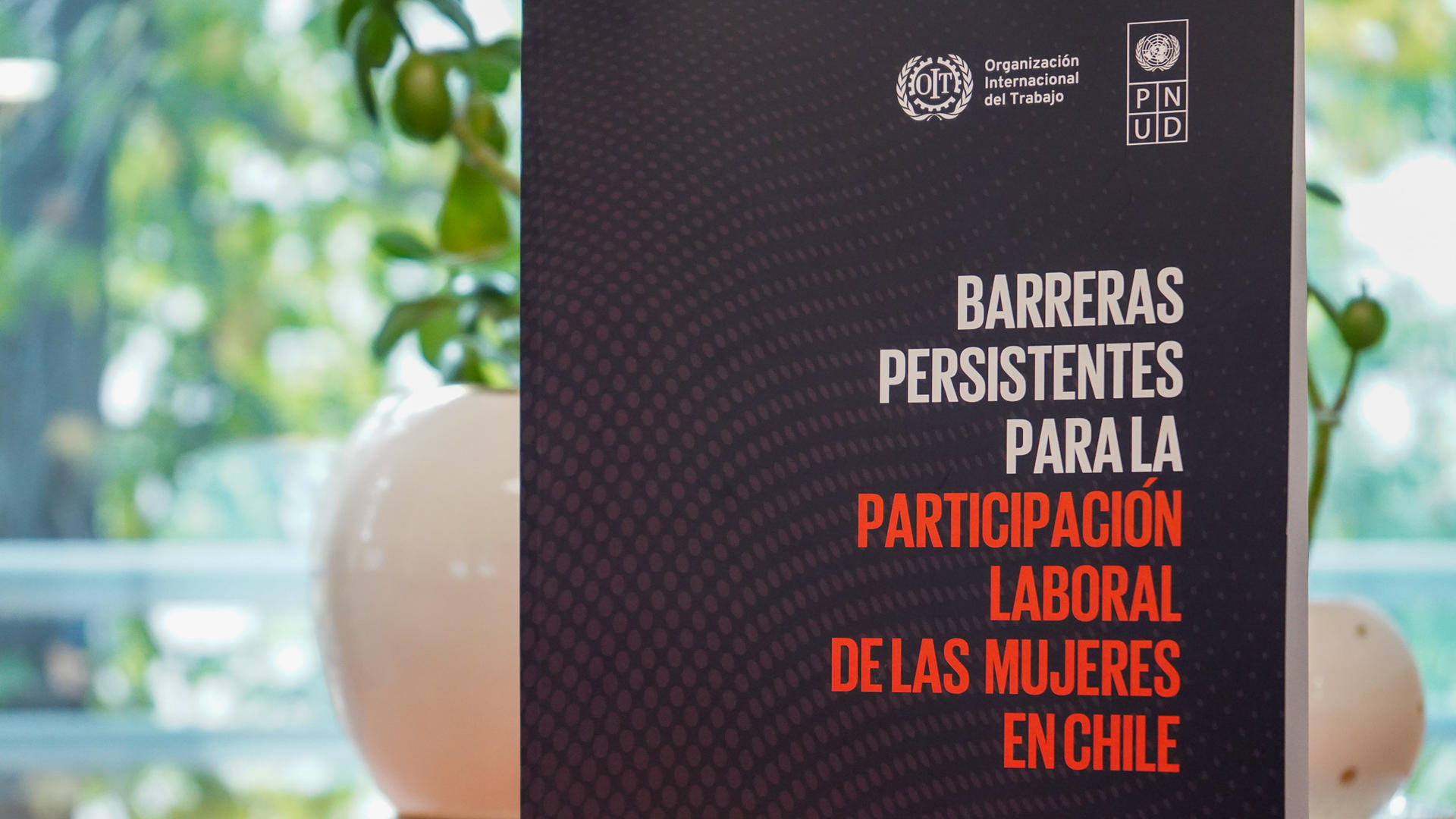 Report titled "Barreras Persistentes para la Participación Laboral de las Mujeres en Chile" with a blurred background of greenery.