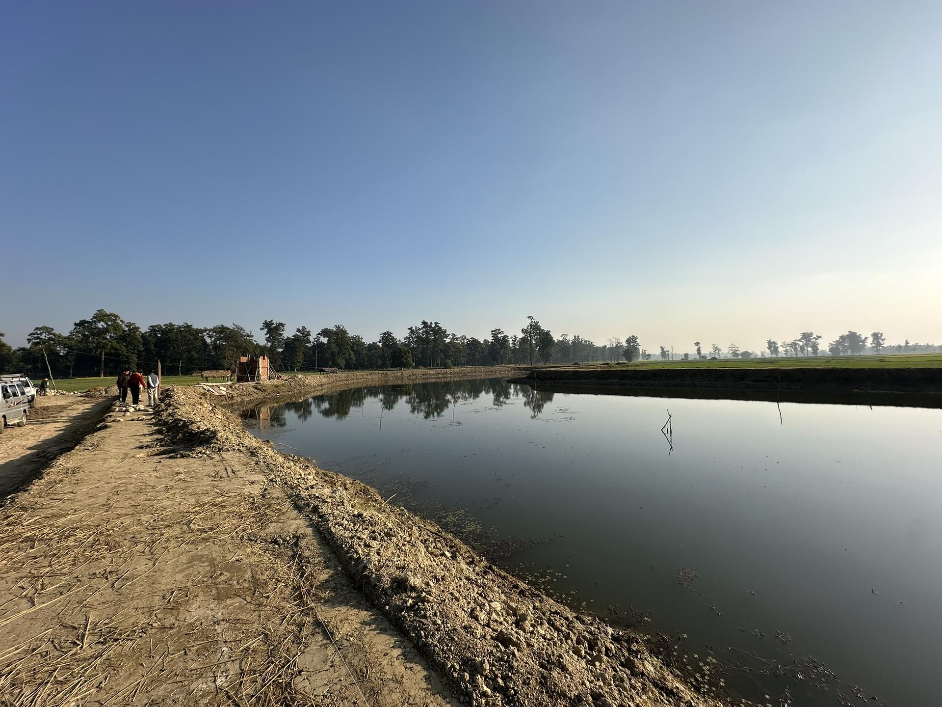 A calm water body with a dirt path along its edge, surrounded by trees under a blue sky.