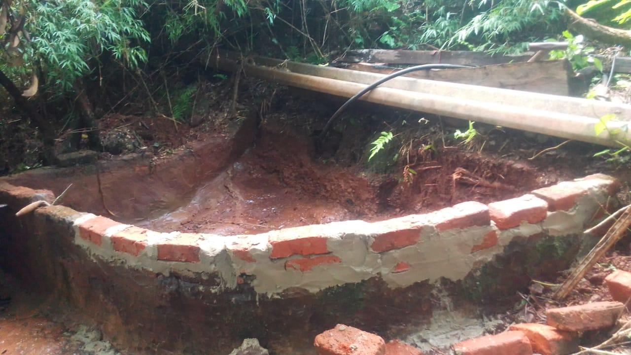 Una estructura circular de ladrillo parcialmente construida rodeada de plantas verdes.