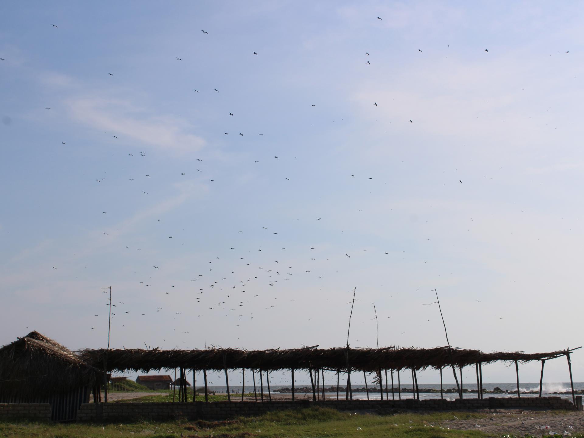 Silhouetted huts under a clear blue sky with scattered birds flying above.