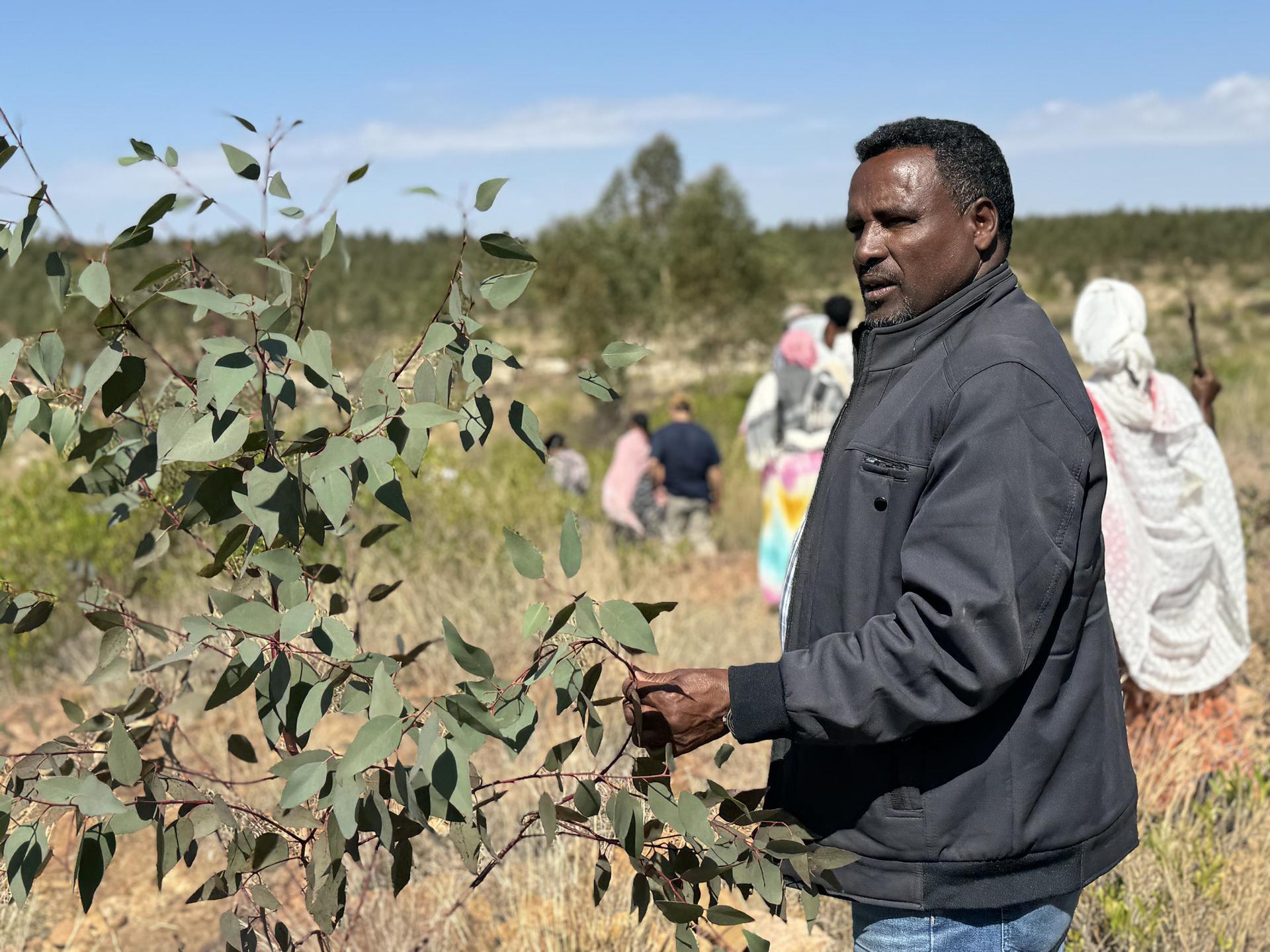 A man in a jacket stands beside a bush, with people in the background planting trees.