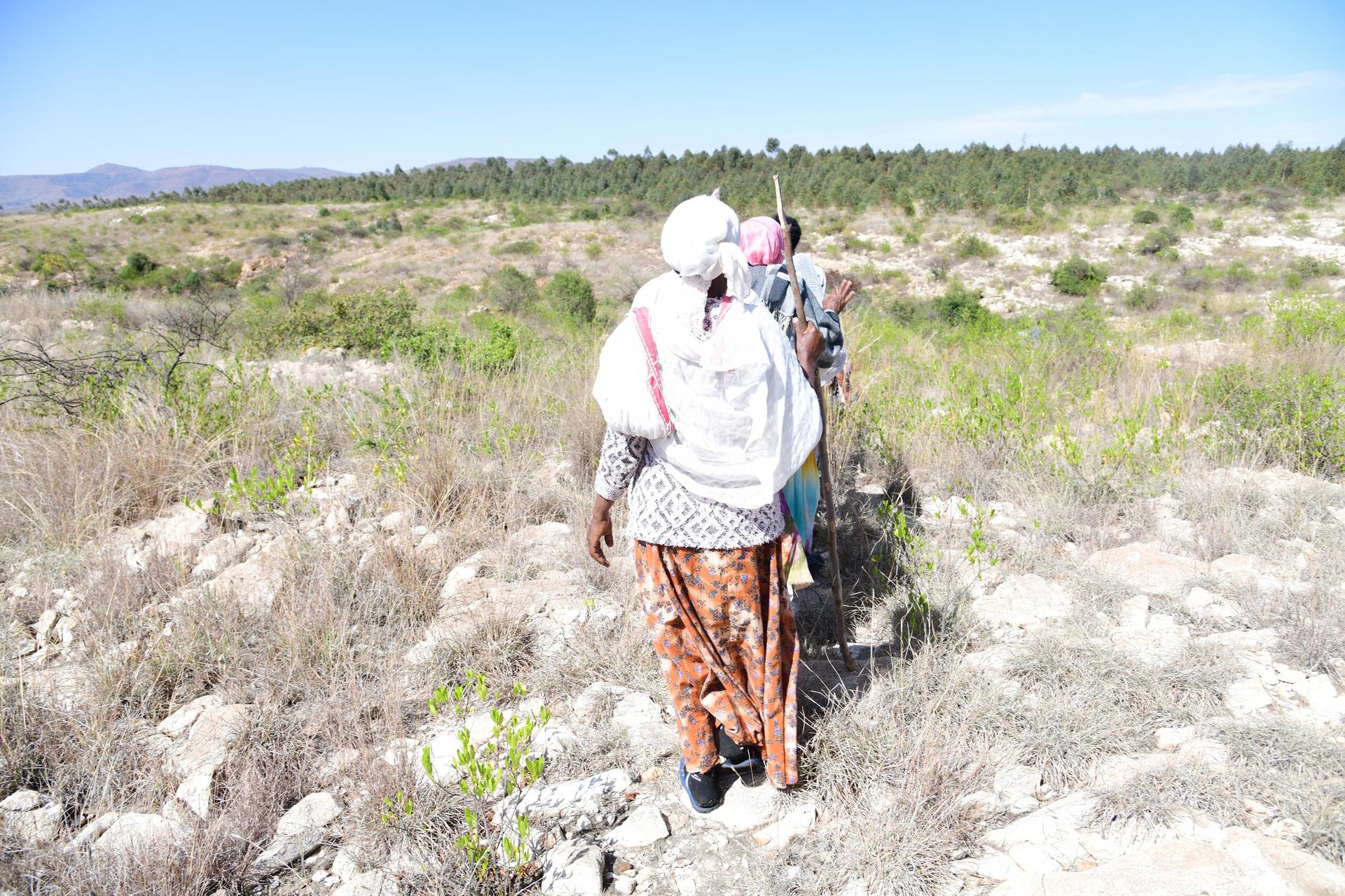 Women walking on a rocky path through a grassy landscape under a clear blue sky.