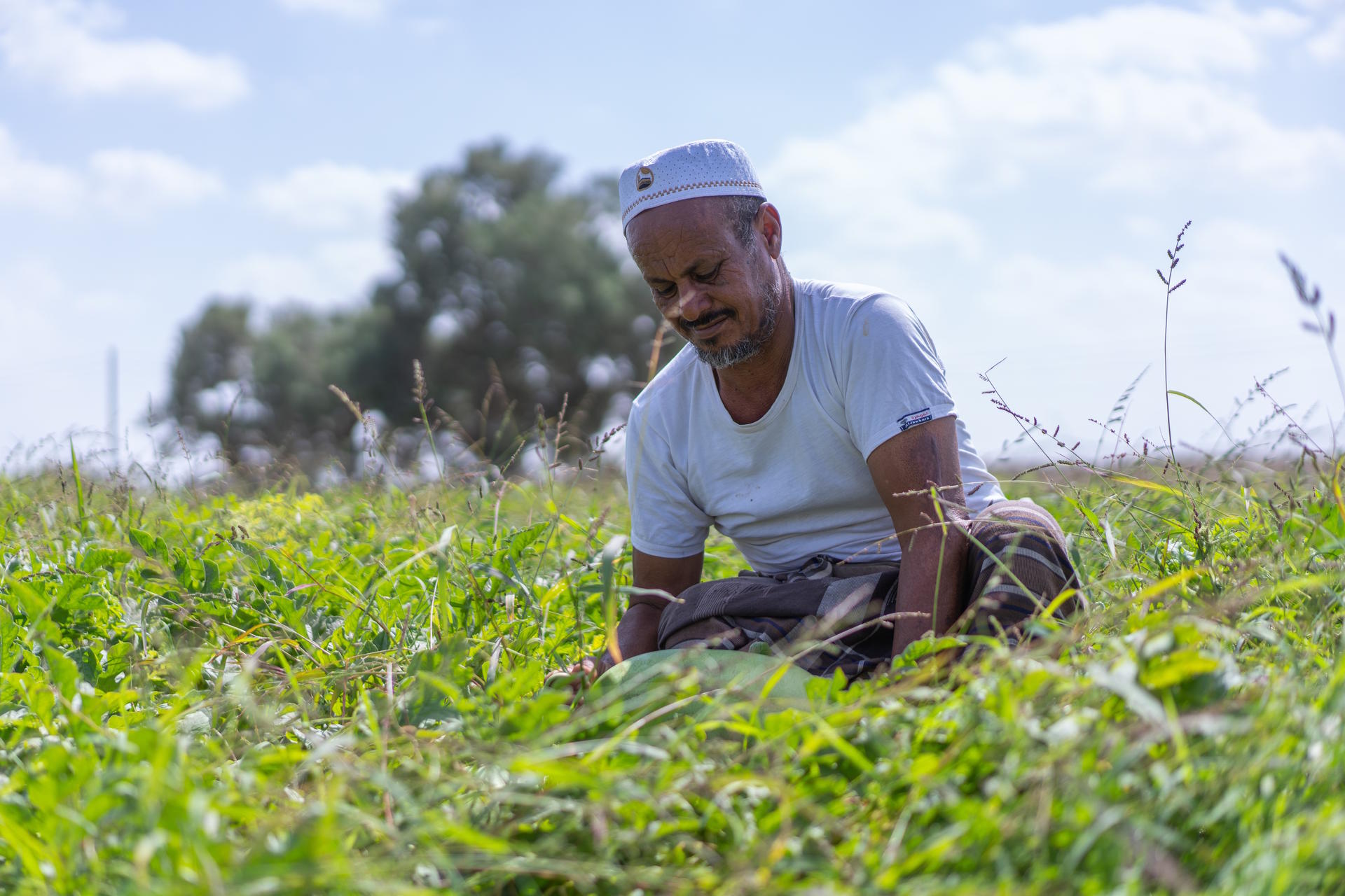 A man kneels in a grassy field, focused on his work, under a blue sky with scattered clouds.