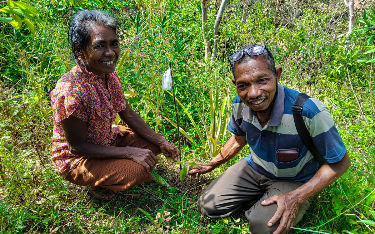 Two smiling individuals kneeling in greenery, planting seedlings in bright sunlight.