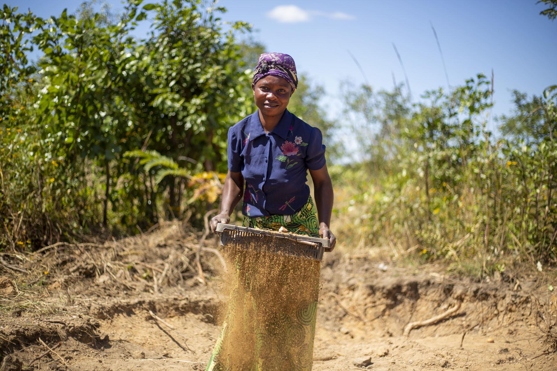 A woman in a blue shirt and colorful skirt stands in a field, sifting soil under a clear sky.