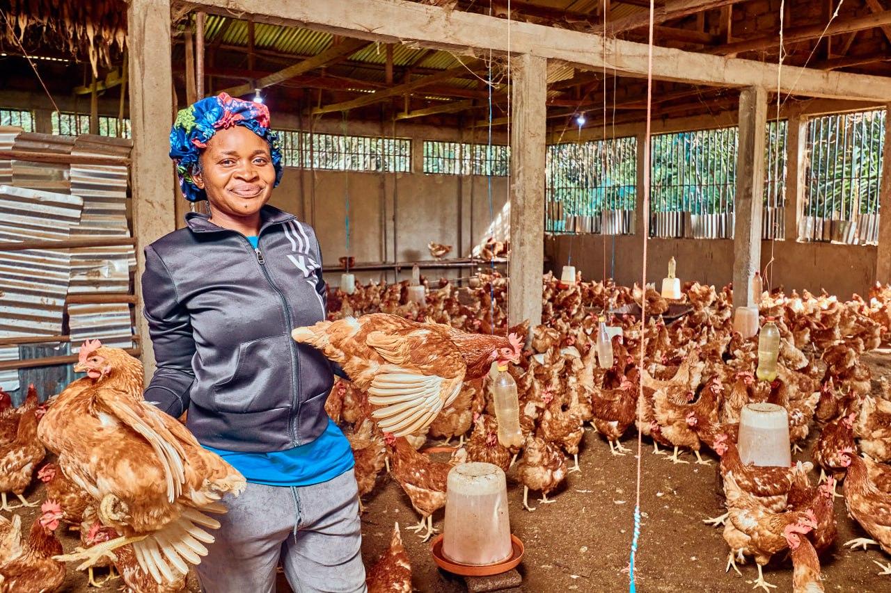 Woman in a poultry farm holding two chickens, surrounded by many more chickens in a barn.