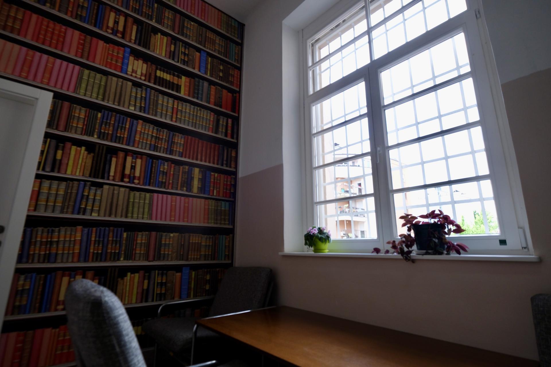 Cozy office corner with a bookshelf mural, a wooden desk, and a window with plants.