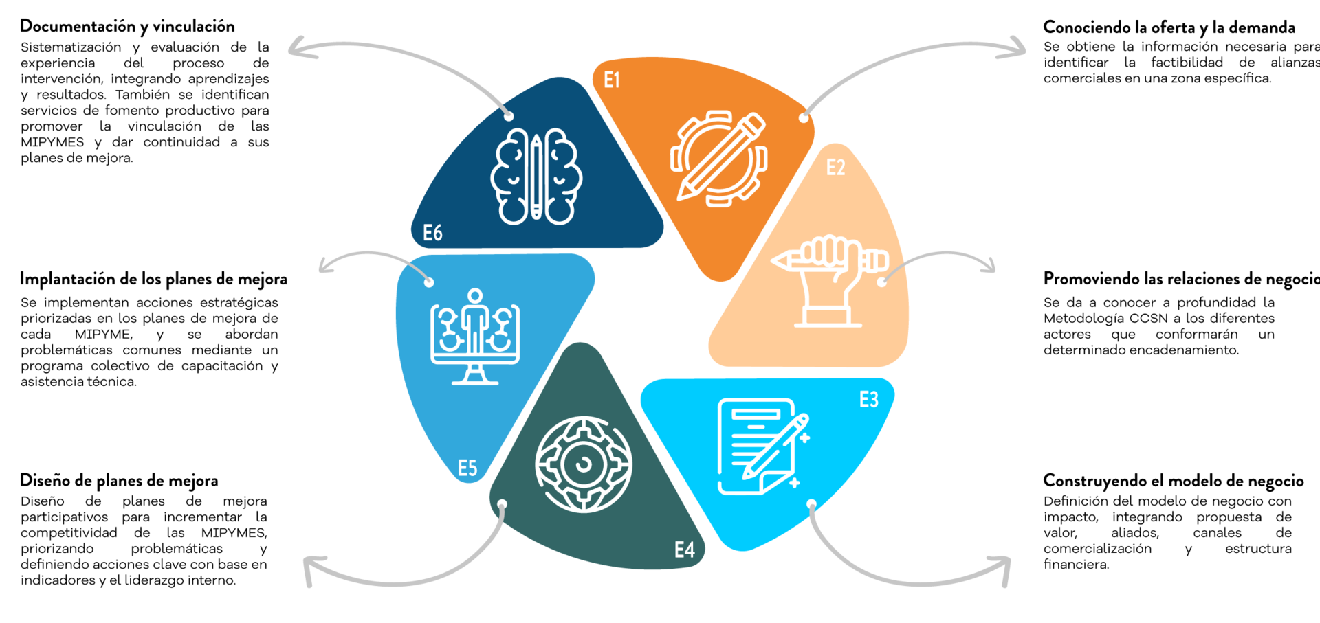Circular infographic CCSN